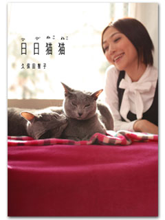 久保田智子の「日日猫猫」